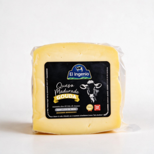 Queso Gouda
